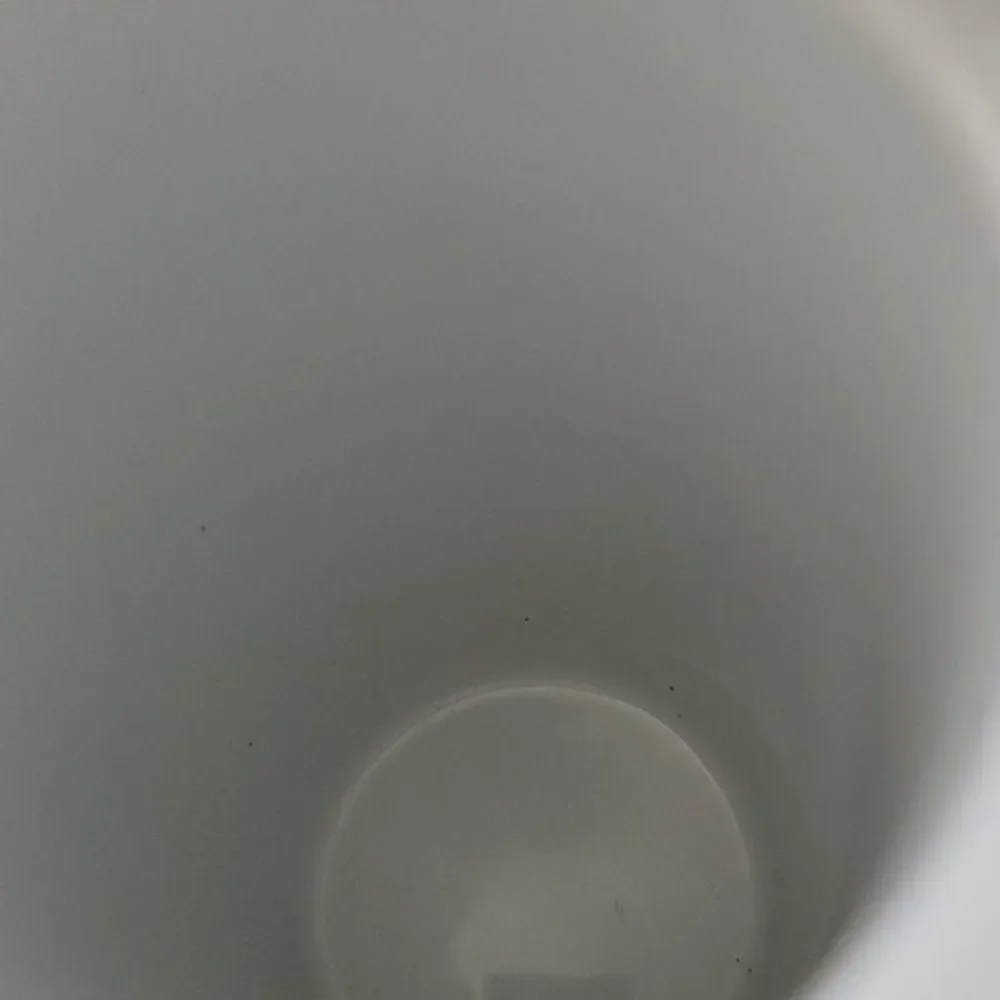 Starbucks 10fl oz ceramic coffee mug‎